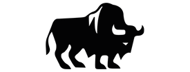 Bison Denim Oficial